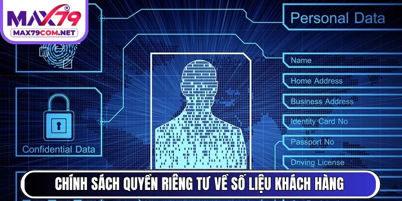 Chính sách quyền riêng tư về số liệu khách hàng